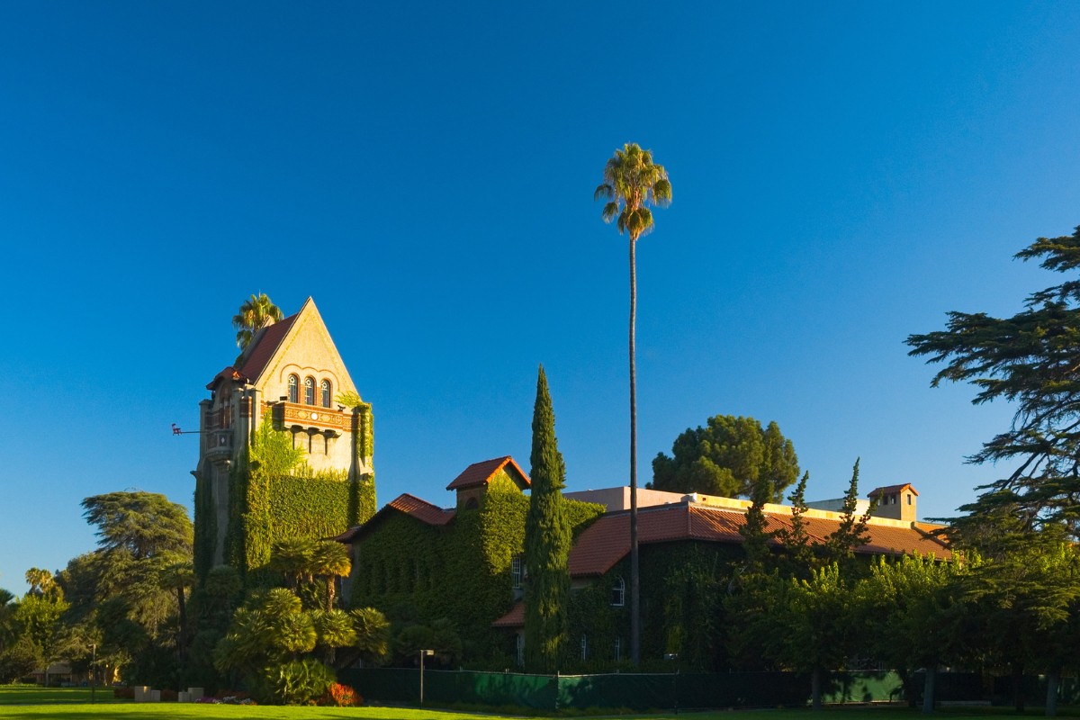 Buildings and palm trees in San Jose State University