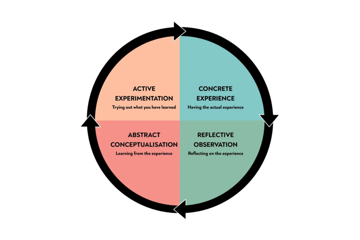David Kolb’s Experiential Learning Cycle, which emphasizes four stages: experiencing, reflecting, conceptualizing, and experimenting.